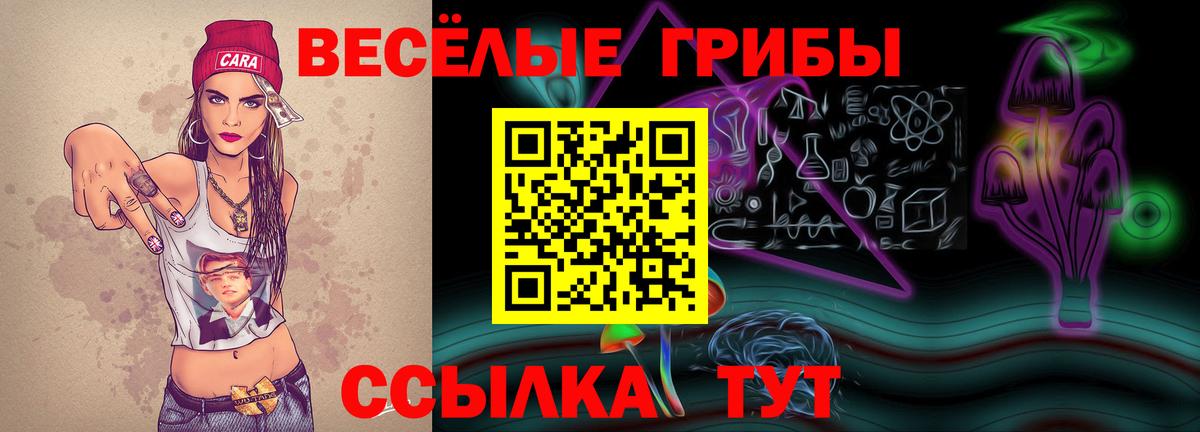 цена наркотик  Галлюциногенные грибы GOLDEN TEACHER  Вход с VPN  Кириши  Псилоцибиновые грибы мухоморы 