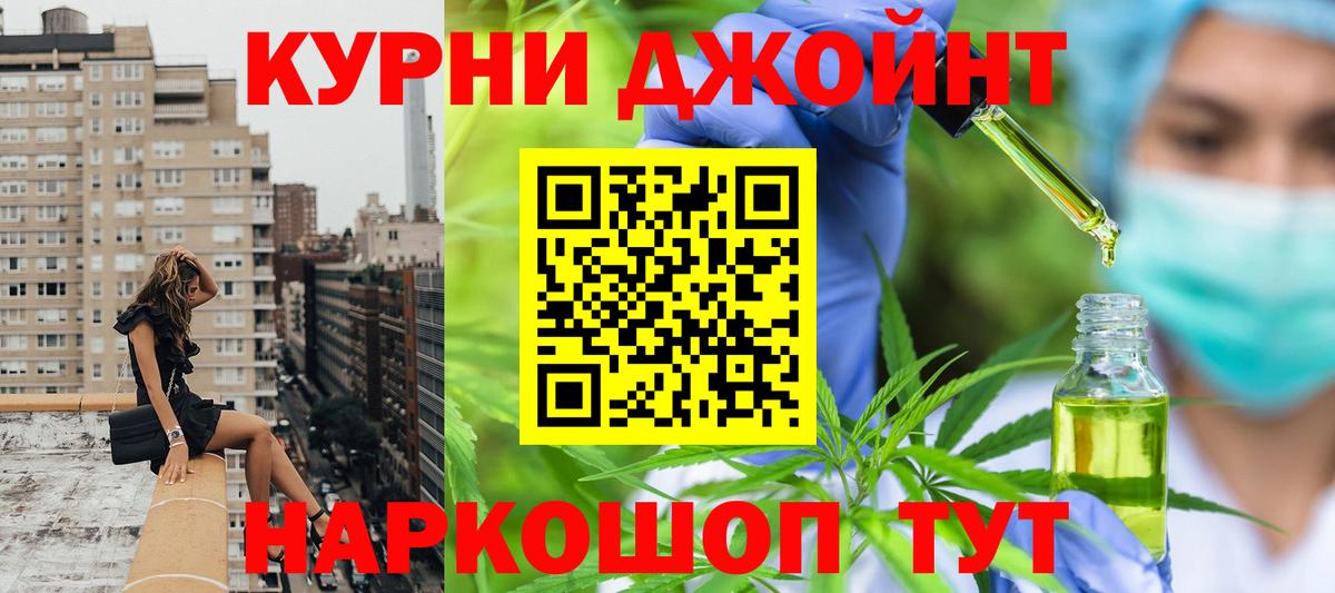 МАРИХУАНА семена  Каннабис OG Kush  Канабис сатива  Каннабис гибрид  Кириши  Вход с VPN 