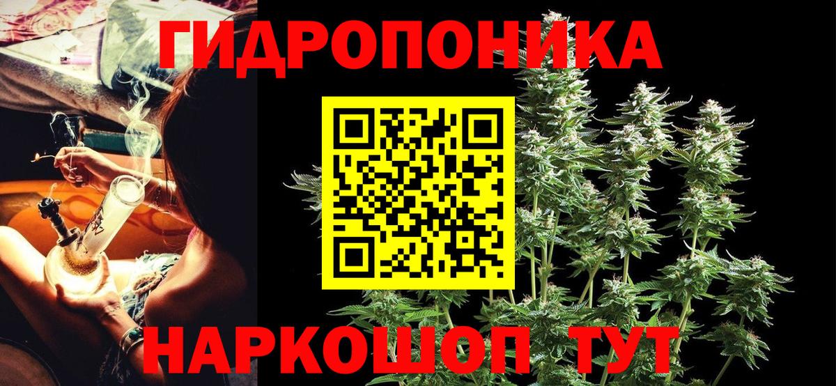 Марихуана конопля Кириши